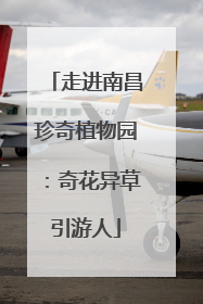 走进南昌珍奇植物园：奇花异草引游人