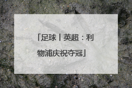 足球丨英超：利物浦庆祝夺冠