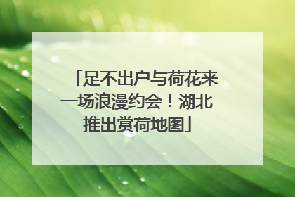 足不出户与荷花来一场浪漫约会！湖北推出赏荷地图