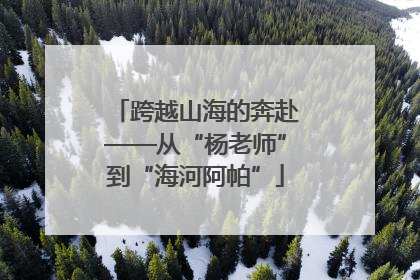 跨越山海的奔赴——从“杨老师”到“海河阿帕”
