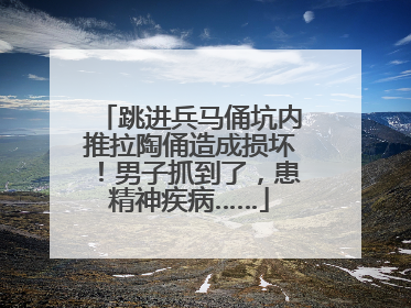 跳进兵马俑坑内推拉陶俑造成损坏！男子抓到了，患精神疾病……