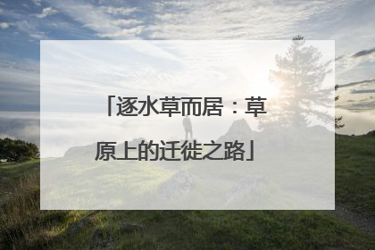 逐水草而居：草原上的迁徙之路
