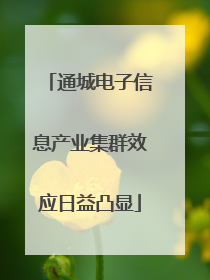 通城电子信息产业集群效应日益凸显
