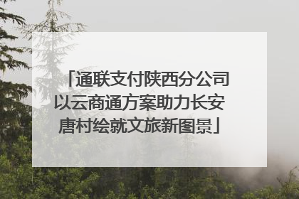 通联支付陕西分公司以云商通方案助力长安唐村绘就文旅新图景