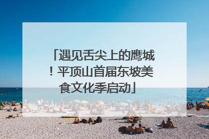 遇见舌尖上的鹰城！平顶山首届东坡美食文化季启动