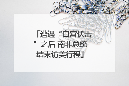 遭遇“白宫伏击”之后 南非总统结束访美行程