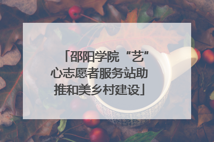 邵阳学院“艺”心志愿者服务站助推和美乡村建设