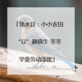 邻水县：小小农田“豆”趣横生 莘莘学童劳动添能