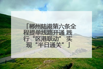郴州陆港第六条全程提单线路开通 践行“区港联动” 实现“半日通关”