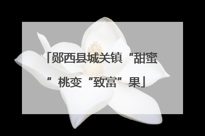 郧西县城关镇“甜蜜”桃变“致富”果