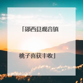 郧西县观音镇桃子喜获丰收