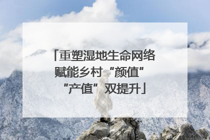 重塑湿地生命网络 赋能乡村“颜值”“产值”双提升