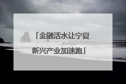 金融活水让宁夏新兴产业加速跑