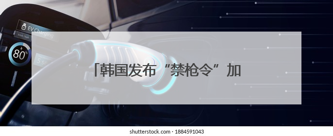 韩国发布“禁枪令”加强总统选举期间安保