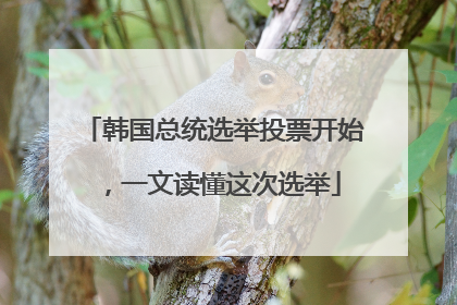 韩国总统选举投票开始，一文读懂这次选举