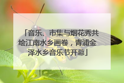音乐、市集与烟花秀共绘江南水乡画卷，青浦金泽水乡音乐节开幕
