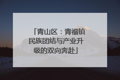 青山区：青福镇民族团结与产业升级的双向奔赴