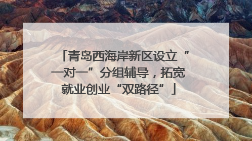 青岛西海岸新区设立“一对一”分组辅导，拓宽就业创业“双路径”