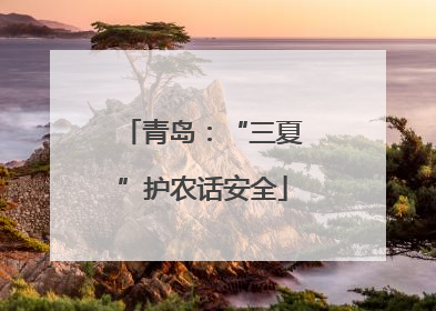 青岛：“三夏”护农话安全