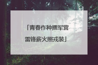 青春作种播军营 雷锋薪火照戎装