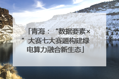青海：“数据要素×”大赛七大赛题构建绿电算力融合新生态