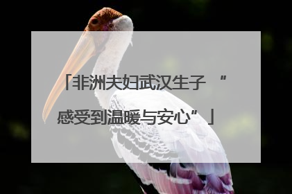非洲夫妇武汉生子 “感受到温暖与安心”