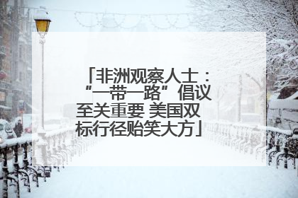 非洲观察人士：“一带一路”倡议至关重要 美国双标行径贻笑大方