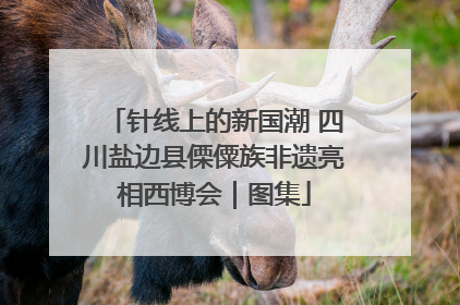 针线上的新国潮 四川盐边县傈僳族非遗亮相西博会｜图集