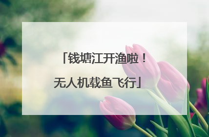 钱塘江开渔啦！无人机载鱼飞行