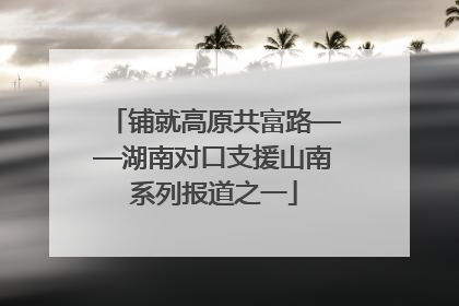 铺就高原共富路——湖南对口支援山南系列报道之一