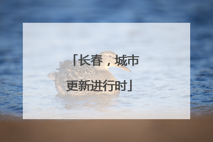 长春，城市更新进行时