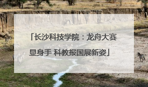 长沙科技学院：龙舟大赛显身手 科教报国展新姿