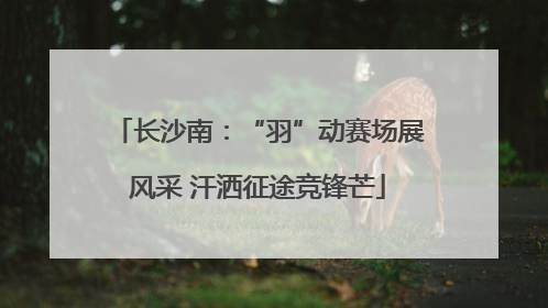 长沙南：“羽”动赛场展风采 汗洒征途竞锋芒