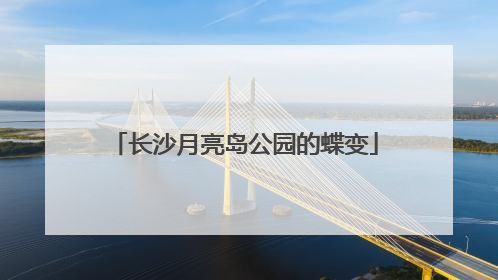 长沙月亮岛公园的蝶变