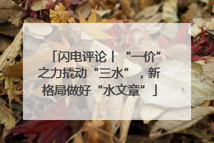 闪电评论丨“一价”之力撬动“三水”，新格局做好“水文章”
