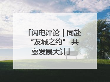 闪电评论｜同赴“友城之约” 共襄发展大计