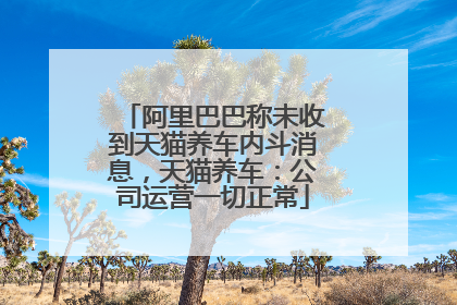阿里巴巴称未收到天猫养车内斗消息，天猫养车：公司运营一切正常