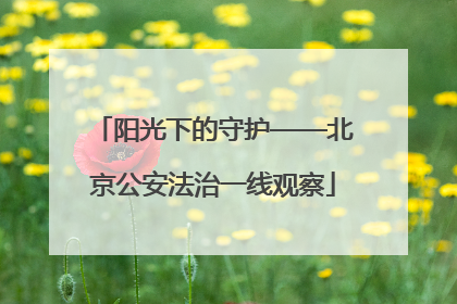 阳光下的守护——北京公安法治一线观察