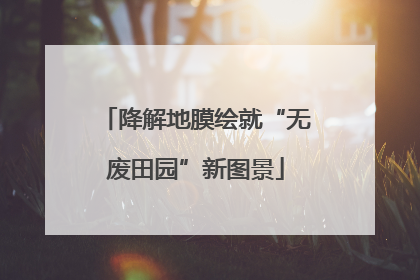 降解地膜绘就“无废田园”新图景