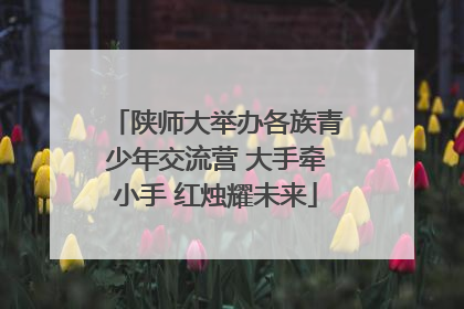 陕师大举办各族青少年交流营 大手牵小手 红烛耀未来