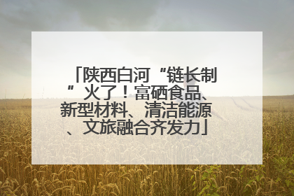 陕西白河“链长制”火了！富硒食品、新型材料、清洁能源、文旅融合齐发力