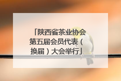 陕西省茶业协会第五届会员代表（换届）大会举行