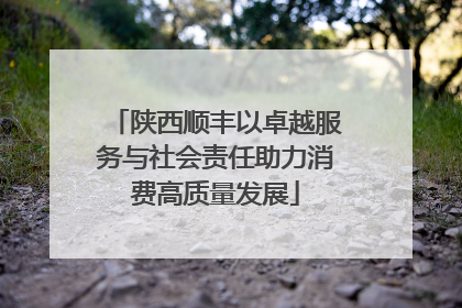 陕西顺丰以卓越服务与社会责任助力消费高质量发展