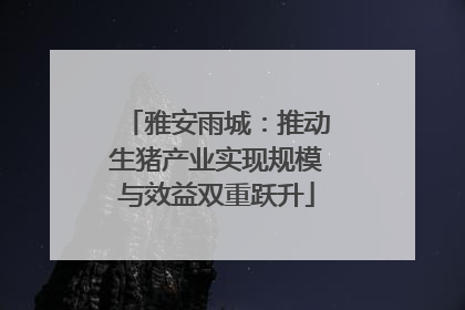 雅安雨城：推动生猪产业实现规模与效益双重跃升