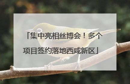 集中亮相丝博会！多个项目签约落地西咸新区