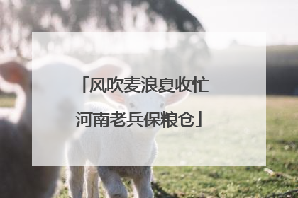 风吹麦浪夏收忙 河南老兵保粮仓