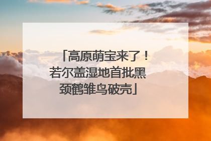 高原萌宝来了！若尔盖湿地首批黑颈鹤雏鸟破壳