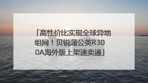高性价比实现全球异地组网！贝锐蒲公英R300A海外版上架速卖通