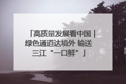 高质量发展看中国｜绿色通道达境外 输送三江“一口鲜”