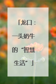 龙口：一头奶牛的“智慧生活”